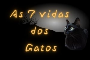 As 7 vidas dos gatos