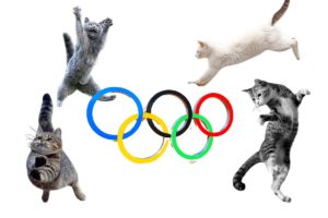Olimpic Cats