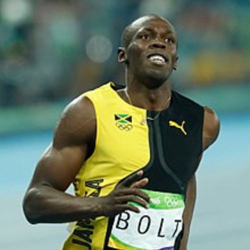 Habilidades dos Gatos: Usain Bolt